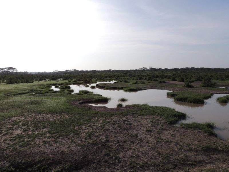 dscn4858.jpg