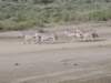 dscn4861_small.jpg