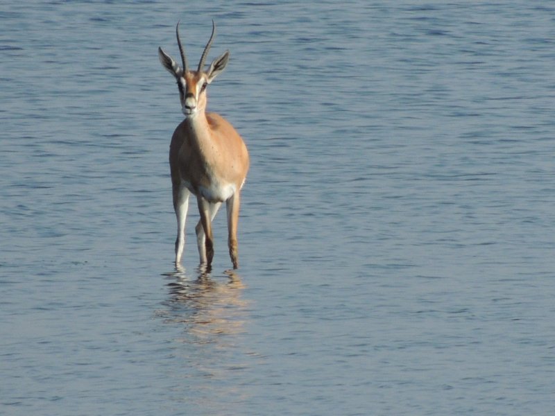 dscn4870.jpg