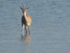 dscn4870_small.jpg