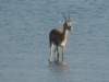 dscn4871_small.jpg