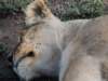 dscn4877_small.jpg