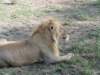 dscn4889_small.jpg