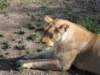 dscn4900_small.jpg
