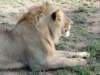 dscn4922_small.jpg