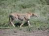 dscn4952_small.jpg