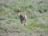 dscn4953_small.jpg