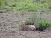 dscn4963_small.jpg