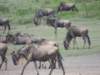 dscn4971_small.jpg