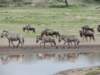 dscn4974_small.jpg
