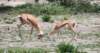 dscn4981b_small.jpg