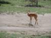 dscn4983_small.jpg