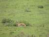 dscn5004_small.jpg