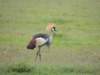 dscn5022_small.jpg