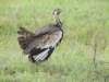 dscn5027_small.jpg