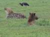 dscn5037_small.jpg