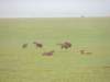 dscn5045_small.jpg