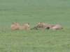 dscn5049_small.jpg