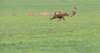 dscn5052b_small.jpg