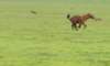 dscn5052c_small.jpg