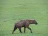 dscn5054_small.jpg