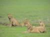 dscn5058_small.jpg