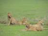 dscn5059_small.jpg