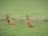 dscn5062_small.jpg