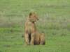 dscn5066_small.jpg
