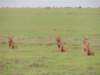 dscn5071_small.jpg