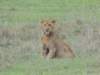 dscn5073_small.jpg