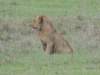 dscn5075_small.jpg