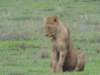 dscn5082_small.jpg