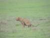 dscn5100_small.jpg