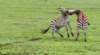 dscn5120_small.jpg