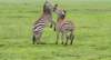 dscn5120b_small.jpg