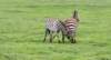 dscn5120c_small.jpg
