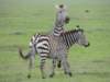 dscn5124_small.jpg