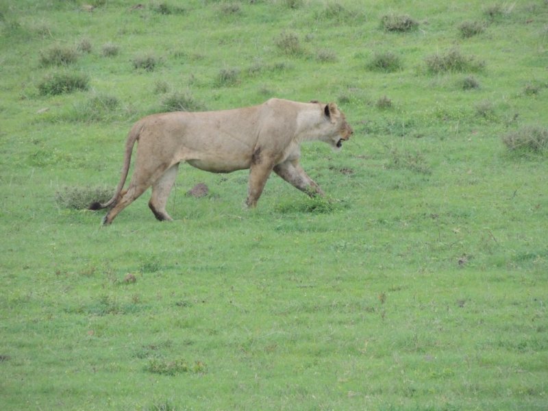 dscn5127.jpg
