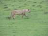 dscn5127_small.jpg