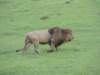 dscn5128_small.jpg