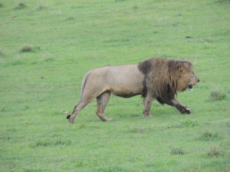 dscn5130.jpg