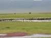 dscn5148_small.jpg