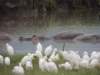 dscn5152_small.jpg