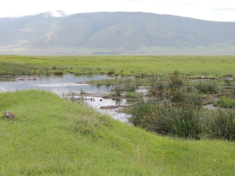 dscn5160.jpg