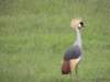 dscn5162_small.jpg