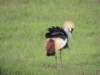dscn5163_small.jpg