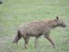 dscn5167_small.jpg