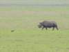 dscn5179_small.jpg