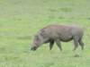 dscn5187_small.jpg